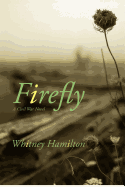 Firefly: A Civil War Story