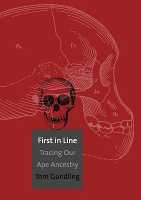 First in Line: Tracing Our Ape Ancestry - Gundling, Tom, Professor