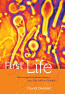 First Life: Discovering the Connections Between Stars, Cells, and How Life Began