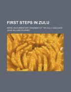 First Steps in Zulu: Being an Elementary Grammar of the Zulu Language
