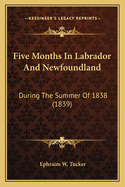 Five Months in Labrador and Newfoundland: During the Summer of 1838 (1839)