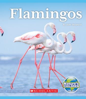 Flamingos (Nature's Children) - Shepherd, Jodie
