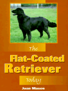 Flat Coated Retriever Today - Mason, Joan, and Mason