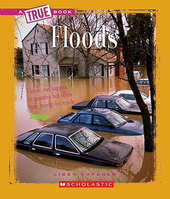 Floods - Koponen, Libby