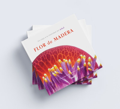 Flor de Madera: A Journey Into the Intimacy of the Tree - Gamboa, Jaime, and Pucci, Giancarlo, and Sobrado, Libertad