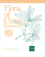 Flora of China Illustrations, Volume 14: Apiaceae Through Ericaceae