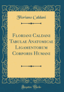 Floriani Caldani Tabulae Anatomicae Ligamentorum Corporis Humani (Classic Reprint)