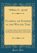 Florida, or Summer in the Winter Time: A Condensed Gazateer of Florida, and Other Points in South Known as Winter Resorts, Where Located, Their Hotels and Boarding-Houses and Their Rates (Classic Reprint)