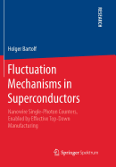 Fluctuation Mechanisms in Superconductors: Nanowire Single-Photon Counters, Enabled by Effective Top-Down Manufacturing