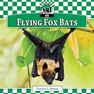 Flying Fox Bats