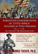 Forgotten Contributions of "Little Africa" Soldiers at Fort Wagner