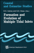 Formation and Evolution of Multiple Tidal Inlets