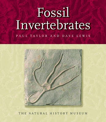 Fossil Invertebrates - Taylor, Paul D., and Lewis, David N.