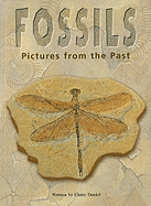 Fossils: Pictures from the Past