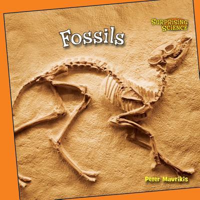 Fossils - Mavrikis, Peter