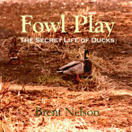 Fowl Play: The Secret Life of Ducks