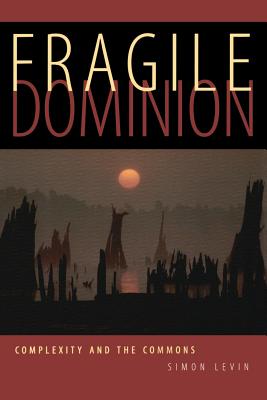 Fragile Dominion - Levin, Simon