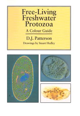 Free-Living Freshwater Protozoa: A Color Guide - Patterson, D J