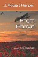 From Above: A True Story of Brotherhood, Sacrifice, and the Shadows of War