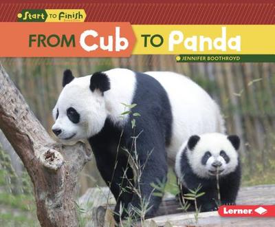 From Cub to Panda - Boothroyd, Jennifer