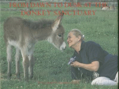From dawn to dusk at the Donkey Sanctuary