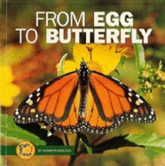 From Egg to Butterfly - Zemlicka, Shannon