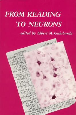 From Reading to Neurons - Galaburda, Albert M (Editor)