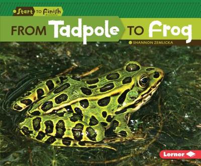 From Tadpole to Frog - Zemlicka, Shannon