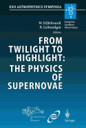 From Twilight to Highlight: The Physics of Supernovae: Proceedings of the ESO/MPA/MPE Workshop Held at Garching, Germany, 29-31 July 2002