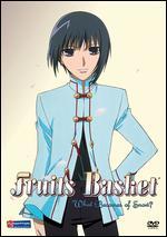 Fruits Basket, Vol. 2: What Becomes of Snow