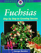 Fuchsias: Step by Step for Growing Success