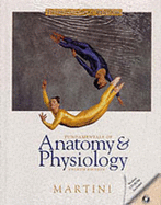 Fundamental Anatomy and Physiology