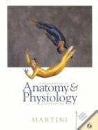 Fundamentals of Anatomy and Physiology Interactive (Media Edition)