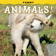 Funny Animals!