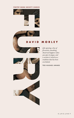 FURY - Morley, David