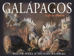 Galpagos: Life in Motion