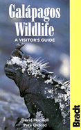 Galapagos Wildlife: A Visitor's Guide