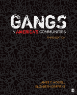 Gangs in America s Communities