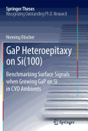 Gap Heteroepitaxy on Si(100): Benchmarking Surface Signals When Growing Gap on Si in CVD Ambients