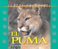 Gatos Salvajes: El Puma