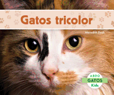 Gatos Tricolor (Calico Cats)