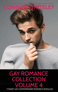 Gay Romance Collection Volume 4: 3 Sweet Gay Contemporary Romance Novellas