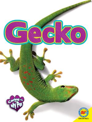 Gecko - Craats, Rennay
