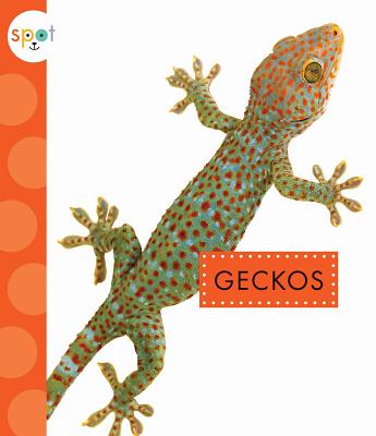 Geckos - Bach, Rachel