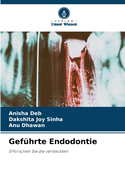 Gef?hrte Endodontie