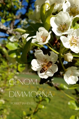 Genom dimmorna - Stor text - Lees, Robert James, and Winterleigh, Frederick, and Erkkonen, Anneli (Translated by)