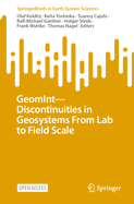 GeomInt-Discontinuities in Geosystems From Lab to Field Scale
