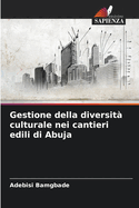 Gestione della diversit culturale nei cantieri edili di Abuja