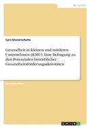 Gesundheit in kleinen und mittleren Unternehmen (KMU). Eine Befragung zu den Potenzialen betrieblicher Gesundheitsfrderungsaktivit?ten