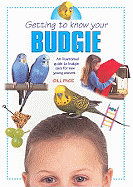 Getting to Know Your Budgie: Illustrated Guide to Budgie Care for New Young Owners
